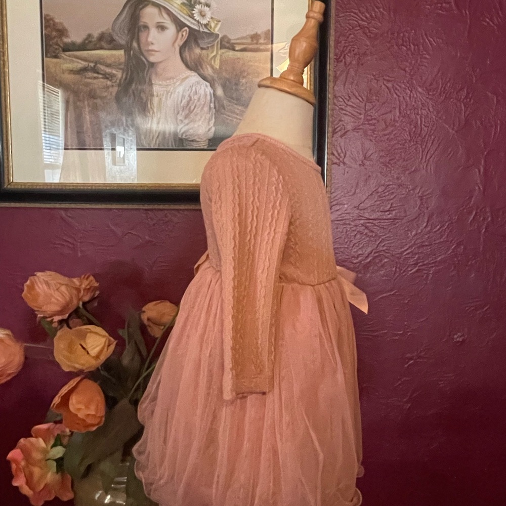 2t brand: special occasion, Pink long sleeve summer/spring dress - Picture 7 of 9